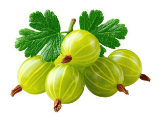 Gooseberry delight: A vibrant bunch of gooseberries, their translucent green skin glistening in the light, nestles amongst lush leaves, promising a burst of tartness.
