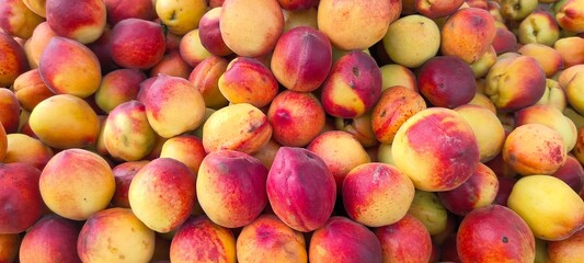 A pile of fresh ripe peach fruits.