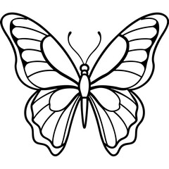 Butterfly line art vector