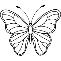 Butterfly line art vector