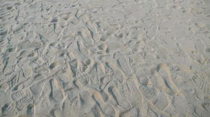 The footprints imprinted on the sand of the beach.