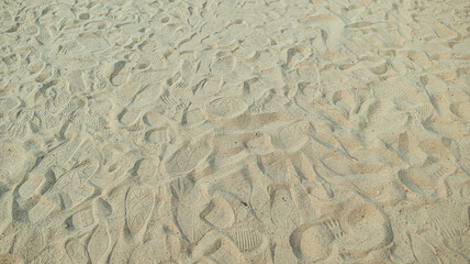 The footprints imprinted on the sand of the beach.
