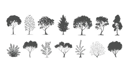 Collection of Gray Scale Hand Drawn Tree Silhouettes Various Shapes and Sizes