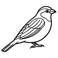 Line art bird (minimal sparrow)