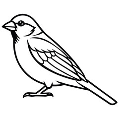 Line art bird (minimal sparrow)