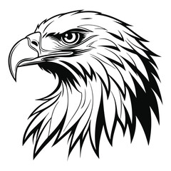 Eagle face illustration and silhouette, Fierce and detailed eagle face vector with sharp eyes