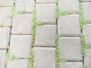 Close-up view of a road built with concrete blocks with grass growing in between. Ideal for construction, architecture and building materials themes.