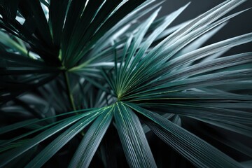 Fototapeta premium Abstract Palm Fronds in Teal and White, Evoking Serenity and Natural Wellness, Perfect for Spa and Relaxation Concepts : Generative AI