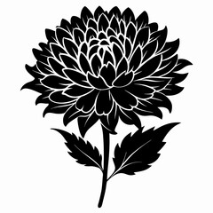 Elegant chrysanthemum flower silhouette illustration on a clean white background perfect for various design projects and
