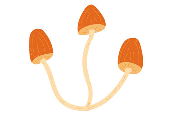 Autumn mushrooms drawn by hand. Element for design