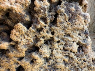 Close-up view of textured volcanic rock showcasing intricate patterns and colors in nature