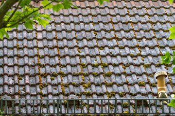 A tiled roof covered in moss shows natural aging and weathering. The roof tiles are irregularly covered with moss cushions.