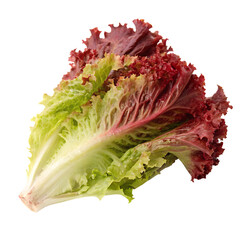 A red leaf lettuce isolated on a transparent background
