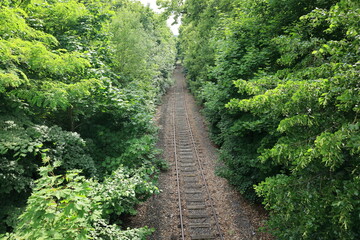 Alte stillgelegte Bahnstrecke in Merzig