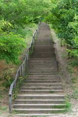 A long wooden staircase leads steeply upwards through dense greenery. The staircase is accompanied by a simple wooden railing.