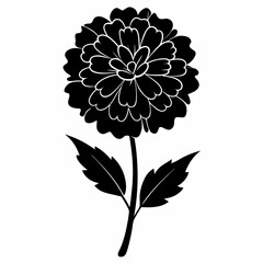 Elegant Marigold Flower Silhouette Vector Design on White Background for Creative Projects and Artistic Compositions