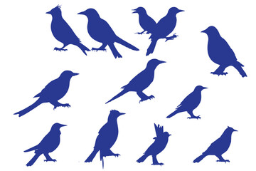 bird silhouettes, black and white, vector graphics, various poses, perched birds, flying birds, detailed bird shapes, minimalist design, ornithology illustration, nature clipart, bird watching guide,