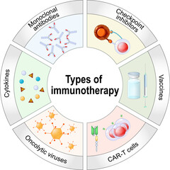Types of immunotherapy. personalized medicine.