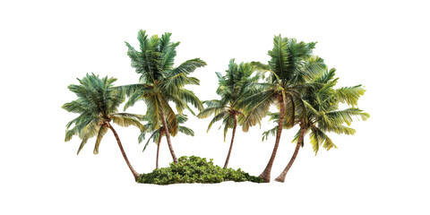 Obraz premium Tropical Palm Trees And Greenery. Exotic Beach Vibes And Relaxation Isolated On Transparent Background