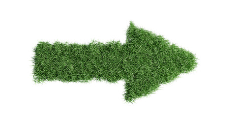Arrow green grass isolated