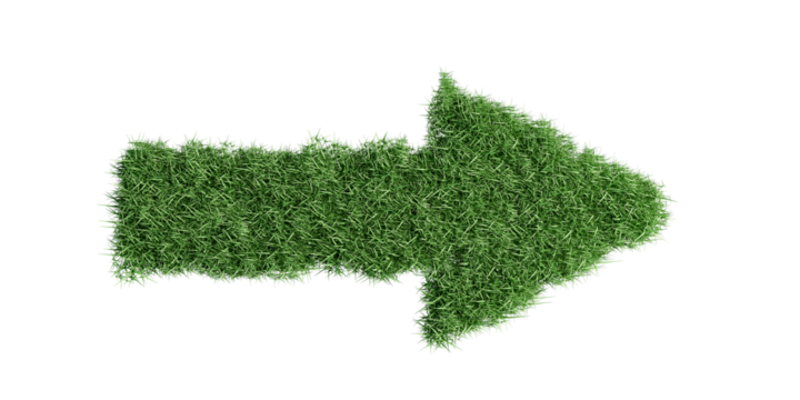 Arrow green grass isolated