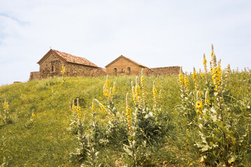 Aerial reveal view Manavi Fortress Complex. A Medieval Royal Stronghold. Strategic Hilltop Citadel Overlooking Iori Valley in Kakheti, Georgia. Hidden gem sightseeing off the beaten path attraction