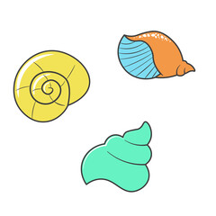 vector illustration of seashell