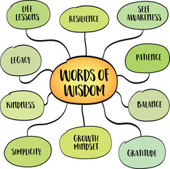 Fototapeta premium Words of wisdom concept, distilled knowledge, life lessons, and deep insights gained through experience, reflection, and learning. Infographics mind map.