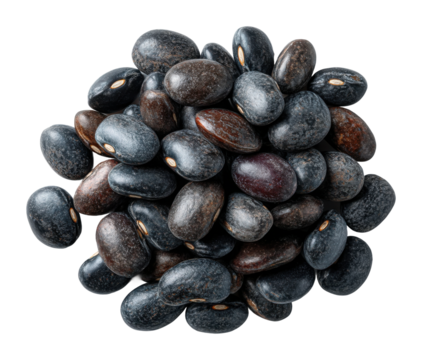 Harvesting black beans organic farming techniques rural fields agriculture sustainable practices