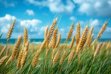 Fototapeta premium A serene landscape of golden wheat swaying gently under a clear blue sky, symbolizing abundance, nature's beauty, and the harmony between agriculture and the environment.