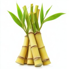 Fototapeta premium Bundle of bamboo stalks with leaves on a white background