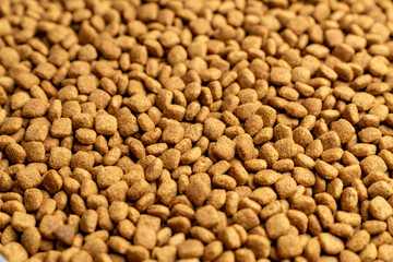 Food for animals background. Dry cat and dog food texture, pattern. Pet meal background close up. Dry food for pet dogs and cats. Dried pet food top view. Granules of good nutrition for dogs and cats.