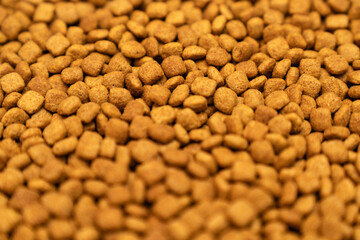 Food for animals background. Dry cat and dog food texture, pattern. Pet meal background close up. Dry food for pet dogs and cats. Dried pet food top view. Granules of good nutrition for dogs and cats.