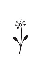 black and white flower silhouette