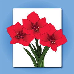 Floral botanical red flower vector illustration drawing