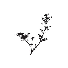 silhouette of a tree