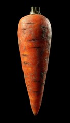 Vibrant and Rugged Freshly Harvested Organic Carrot in Stunning Close-Up Still Life Photography