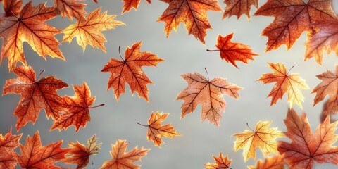 Vibrant Autumn Scene with Radiant Maple Leaves Falling Gracefully Under the Warm Sunlight Glow