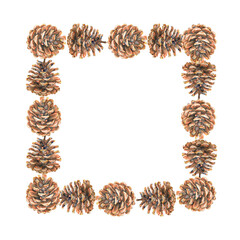 Watercolor illustration of a brown pine cone with warm autumn tones frame painted in a realistic style. Perfect for Christmas designs, winter and fall decor, packaging, cards, and seasonal products.