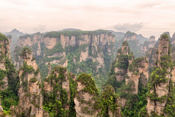 Zhangjiajie National forest park at sunset, Wulingyuan, Hunan, China