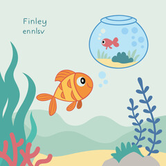 fish in the aquarium