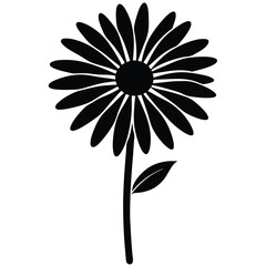 white flower on black background