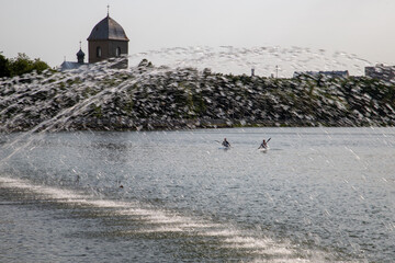 Athletes paddle kayaks on a calm lake with a city in the background. The water sparkles and the lake is surrounded by trees and a view of the city. The athletes compete against each other.