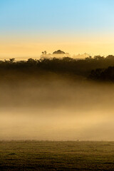 Early morning mist at sunrise at Kentdale in the Shire of Denmark, Great Southern region of Western Australia, WA, Australia.