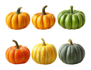 Harvesting seasonal pumpkins farm market food rustic view autumn vibes