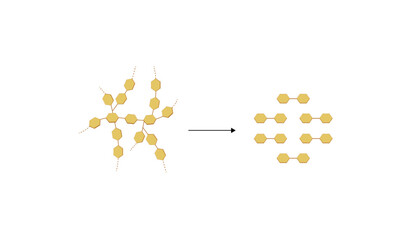 Carbohydrates digestion. Amylase enzyme catalyzes digestion of polysaccharide starch molecule to disaccharides maltose molecules. Scientific diagram. Vector illustration.