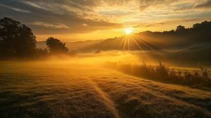 Foggy Field at Sunrise Landscape