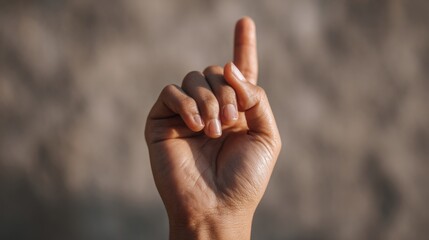Simple Hand Gesture Representing Sign Language Communication for International Awareness Campaign