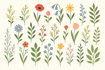 Set of cute hand drawn floral elements. Botanical collection of various wild flowers and leaves. Spring meadow plants like poppy, tulip, bluebell. Isolated vector design assets.