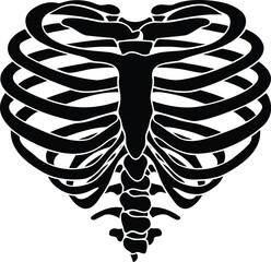 Detailed Vector Illustration of a Human Ribcage Anatomy with Medical Precision